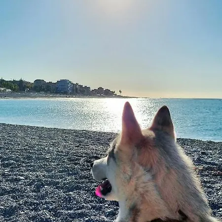 Ocean In